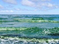 La ricerca sulle alghe tossiche diventa virale sul lago Winnipeg