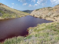Come il cambiamento climatico sta rendendo le Smoking Hills della TNM più acide e tossiche