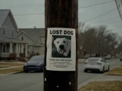 Il prossimo lavoro del tuo campanello Ring potrebbe non essere quello di ritrovare animali domestici smarriti