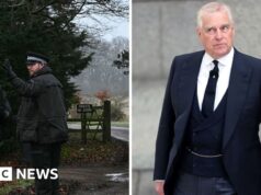 Guarda: il giorno in cui Andrew Mountbatten-Windsor fu arrestato