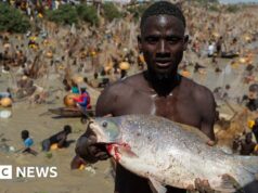 Pescato del giorno: immagini dello spettacolare pageant di pesca nigeriano