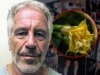 Le e-mail di Jeffrey Epstein si riferiscono alle piante tossiche “farmaci per gli zombi” che conservava