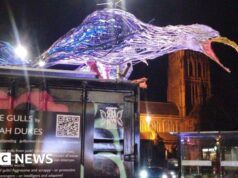 La Trash Artwork riflette il dibattito sui gabbiani del centro città