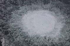 La Polonia prepara una causa per “riparazioni” contro la Russia – FT