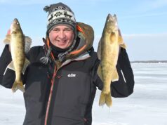 Le high 15 pour le doré sous la glace