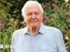 La BBC organizza i festeggiamenti per il centesimo compleanno di David Attenborough