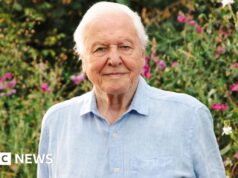 La BBC organizza i festeggiamenti per il centesimo compleanno di David Attenborough
