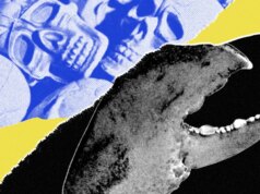 Ho adorato il mio agente AI OpenClaw, finché non mi ha infastidito