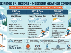 Prova subito Nano Banana 2, l’ultima versione del generatore di immagini AI di Google