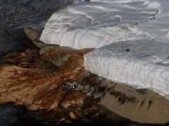 L’ultimo mistero delle “cadute di sangue” in Antartide è stato finalmente risolto