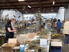 Dallo spargimento di sangue alle fioriture: all’interno della realizzazione del memoriale vivente di Bondi