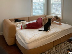 Le migliori vendite di materassi per il Giorno dei Presidenti del 2026