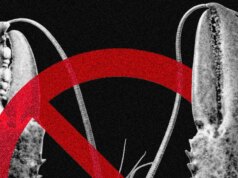 Meta e altre società tecnologiche vietano OpenClaw per problemi di sicurezza informatica