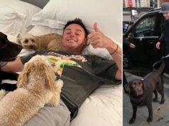 Ant McPartlin lascia il lancio di Britain’s Bought Expertise dopo la “morte devastante” di un cane