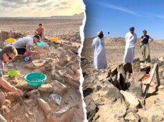 Gli antichi esseri umani cacciavano e mangiavano gli squali 7.000 anni fa, come dimostra la scoperta di un sito di sepoltura