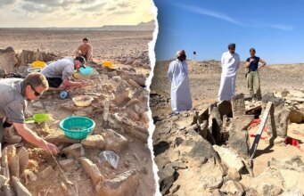 Gli antichi esseri umani cacciavano e mangiavano gli squali 7.000 anni fa, come dimostra la scoperta di un sito di sepoltura