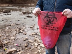 Trump incolpa DC, Maryland e Virginia per la massiccia fuoriuscita di liquami del fiume Potomac