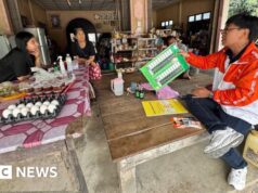 Gli outsider politici si oppongono al potente sistema clientelare della Thailandia, ha detto alla BBC il deputato sconfitto