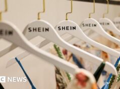 L’inafferrabile capo di Shein esalta le sue radici cinesi nelle sue uncommon apparizioni pubbliche