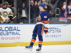 “C’è un uccello qui”: un’ala inaspettata assiste gli isolani in porta