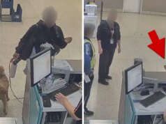Donna arrestata dopo aver legato un cane all’aeroporto ed essere partita, in video