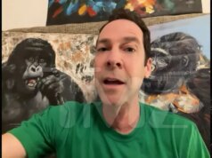 La scimmia virale di nome Punch ha bisogno di una vera mamma che lo ami, cube un esperto