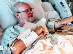 “Non ho mai colpito niente così forte”: cosa vuol dire essere attaccati da uno squalo