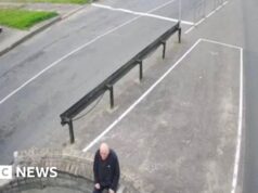 Rilasciato il dissidente veterano che aveva rifiutato l’esilio