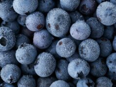 Mirtilli congelati richiamati per possibile contaminazione da Listeria