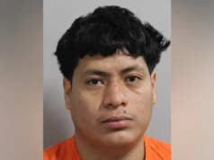 Immigrato clandestino fugge dopo che un mordi e fuggi ubriaco ferisce un motociclista: denuncia