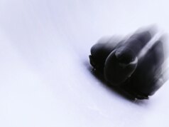 Come guardare on-line gratuitamente lo skeleton degli sport invernali 2026