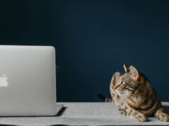 AdGuard è la soluzione una tantum per popup, annunci a riproduzione automatica e monitoraggio on-line: ora $ 16