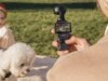 DJI Osmo Pocket 3 è in vendita a un prezzo report su Amazon: risparmia $ 64 su Amazon