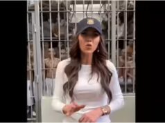 Un rapporto bomba afferma che Trump è “a disagio” con la relazione tra Noem e Lewandowski; Il capo del DHS ha licenziato il pilota della guardia costiera per la sua coperta mancante