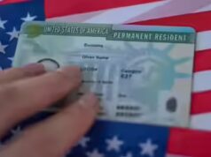 Buone notizie per i richiedenti della Inexperienced Card indiana: la linea EB-2 avanza di 11 mesi; l’avvocato specializzato in immigrazione spiega perché ciò è accaduto