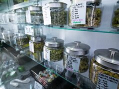 ALEX BERENSON: Ho messo in guardia sui pericoli della hashish 7 anni fa e nessuno voleva ascoltarmi