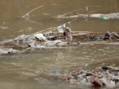 Trump critica il governatore del Maryland e lancia uno sforzo federale per proteggere il Potomac dopo la storica fuoriuscita di liquami
