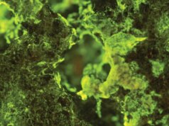 L’esperimento ISS rivela l’ingrediente segreto per l’estrazione degli asteroidi: i microbi