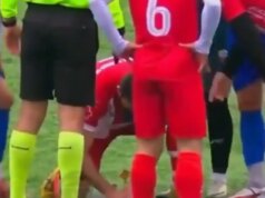 «Héros des animaux»: il giocatore di calcio che ha prodotto un massaggio cardiaco a un goéland témoigne