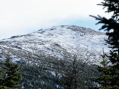 Un escursionista muore vicino alla vetta della vetta più alta di New York dopo essere scivolato fuori dal sentiero