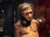 Gli uomini di Neanderthal e le donne umane avevano maggiori probabilità di fare amicizia, secondo uno studio