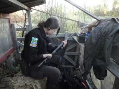 Gli agenti di protezione della fauna commentano gli ignoranti del direttore generale