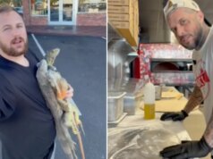 Pizza fatta con carne di iguana? Il video virale del ristorante della Florida suscita fascino e furia