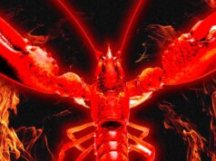 Mi sono infiltrato in Moltbook, il social community riservato all’intelligenza artificiale in cui gli esseri umani non sono ammessi