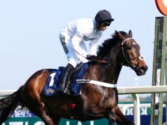 Oggi su Sky Sports activities Racing: Structure Hill fa il suo debutto a Southwell