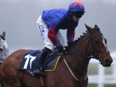 Josh The Boss desiderava sconvolgere Greatwood a Newbury