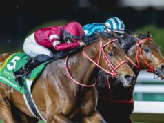 Ceaselessly Younger superbo ancora una volta in Coppa Saudita