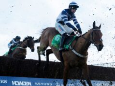 Oggi su Sky Sports activities Racing: La Greatwood Gold Cup di Newbury è la giornata ricca di titoli dei giornali
