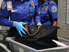 Quali servizi sarebbero interessati da una chiusura del governo del DHS?