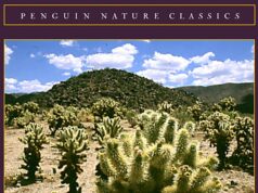 6 letture essenziali nel deserto